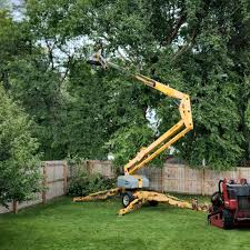 Best Lawn Drainage Solutions  in Bayport, NY