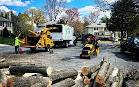 Best Lawn Disease Treatment  in Bayport, NY