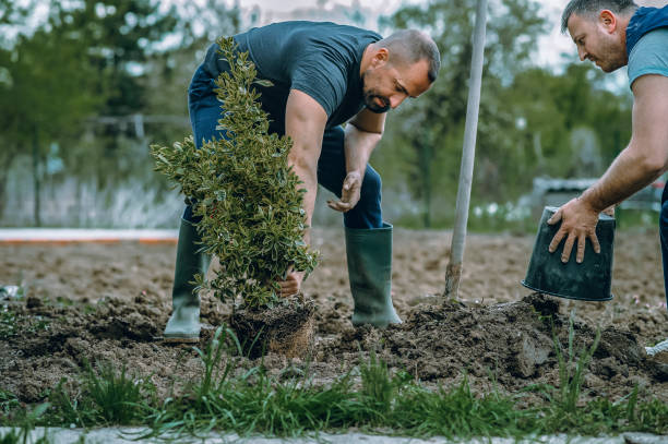 Best Weed Control  in Bayport, NY