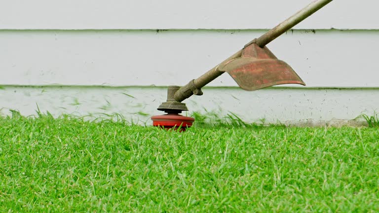 Best Lawn Irrigation Installation and Maintenance  in Bayport, NY
